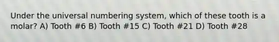 Under the universal numbering system, which of these tooth is a molar? A) Tooth #6 B) Tooth #15 C) Tooth #21 D) Tooth #28