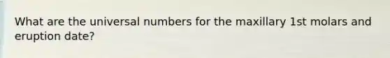 What are the universal numbers for the maxillary 1st molars and eruption date?