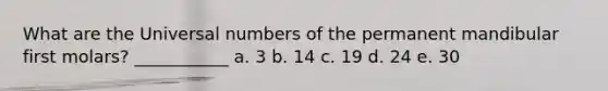 What are the Universal numbers of the permanent mandibular first molars? ___________ a. 3 b. 14 c. 19 d. 24 e. 30