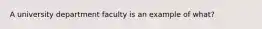 A university department faculty is an example of what?