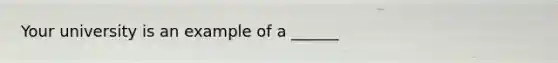 Your university is an example of a ______