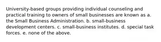 University-based groups providing individual counseling and practical training to owners of small businesses are known as a. the Small Business Administration. b. small-business development centers. c. small-business institutes. d. special task forces. e. none of the above.