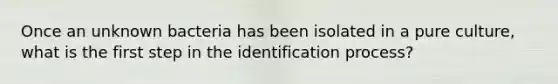 Once an unknown bacteria has been isolated in a pure culture, what is the first step in the identification process?