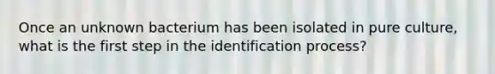 Once an unknown bacterium has been isolated in pure culture, what is the first step in the identification process?