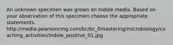 An unknown specimen was grown on Indole media. Based on your observation of this specimen choose the appropriate statements. http://media.pearsoncmg.com/bc/bc_0mastering/microbiology/coaching_activities/indole_positive_01.jpg