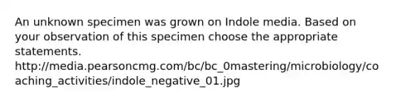 An unknown specimen was grown on Indole media. Based on your observation of this specimen choose the appropriate statements. http://media.pearsoncmg.com/bc/bc_0mastering/microbiology/coaching_activities/indole_negative_01.jpg