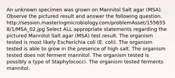 An unknown specimen was grown on Mannitol Salt agar (MSA). Observe the pictured result and answer the following question. http://session.masteringmicrobiology.com/problemAsset/1556558/1/MSA_02.jpg Select ALL appropriate statements regarding the pictured Mannitol Salt agar (MSA) test result. The organism tested is most likely Escherichia coli (E. coli). The organism tested is able to grow in the presence of high salt. The organism tested does not ferment mannitol. The organism tested is possibly a type of Staphylococci. The organism tested ferments mannitol.