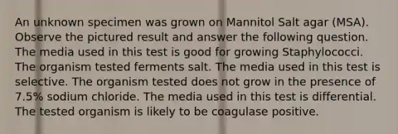 An unknown specimen was grown on Mannitol Salt agar (MSA). Observe the pictured result and answer the following question. The media used in this test is good for growing Staphylococci. The organism tested ferments salt. The media used in this test is selective. The organism tested does not grow in the presence of 7.5% sodium chloride. The media used in this test is differential. The tested organism is likely to be coagulase positive.