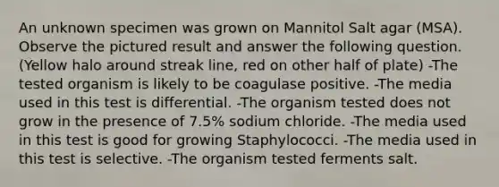 An unknown specimen was grown on Mannitol Salt agar (MSA). Observe the pictured result and answer the following question. (Yellow halo around streak line, red on other half of plate) -The tested organism is likely to be coagulase positive. -The media used in this test is differential. -The organism tested does not grow in the presence of 7.5% sodium chloride. -The media used in this test is good for growing Staphylococci. -The media used in this test is selective. -The organism tested ferments salt.