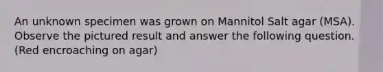 An unknown specimen was grown on Mannitol Salt agar (MSA). Observe the pictured result and answer the following question. (Red encroaching on agar)