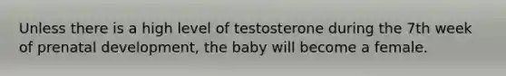 Unless there is a high level of testosterone during the 7th week of prenatal development, the baby will become a female.