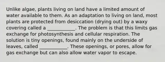 Unlike algae, plants living on land have a limited amount of water available to them. As an adaptation to living on land, most plants are protected from desiccation (drying out) by a waxy covering called a ____________. The problem is that this limits gas exchange for photosynthesis and cellular respiration. The solution is tiny openings, found mainly on the underside of leaves, called ____________. These openings, or pores, allow for gas exchange but can also allow water vapor to escape.