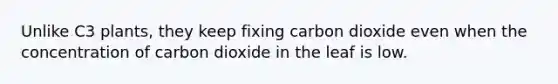 Unlike C3 plants, they keep fixing carbon dioxide even when the concentration of carbon dioxide in the leaf is low.