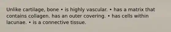 Unlike cartilage, bone • is highly vascular. • has a matrix that contains collagen. has an outer covering. • has cells within lacunae. • is a connective tissue.