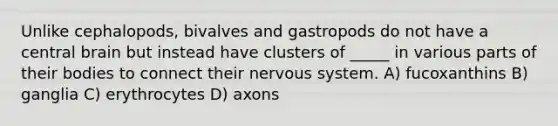 Unlike cephalopods, bivalves and gastropods do not have a central brain but instead have clusters of _____ in various parts of their bodies to connect their nervous system. A) fucoxanthins B) ganglia C) erythrocytes D) axons