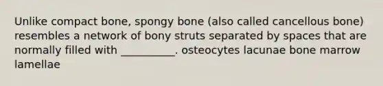 Unlike compact bone, spongy bone (also called cancellous bone) resembles a network of bony struts separated by spaces that are normally filled with __________. osteocytes lacunae bone marrow lamellae