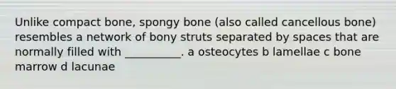 Unlike compact bone, spongy bone (also called cancellous bone) resembles a network of bony struts separated by spaces that are normally filled with __________. a osteocytes b lamellae c bone marrow d lacunae