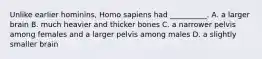 Unlike earlier hominins, Homo sapiens had __________. A. a larger brain B. much heavier and thicker bones C. a narrower pelvis among females and a larger pelvis among males D. a slightly smaller brain