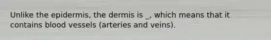 Unlike the epidermis, the dermis is _, which means that it contains blood vessels (arteries and veins).