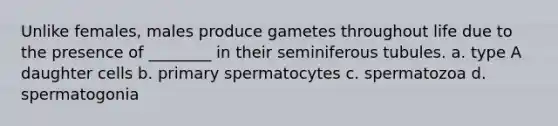 Unlike females, males produce gametes throughout life due to the presence of ________ in their seminiferous tubules. a. type A daughter cells b. primary spermatocytes c. spermatozoa d. spermatogonia