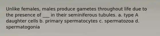 Unlike females, males produce gametes throughout life due to the presence of ___ in their seminiferous tubules. a. type A daughter cells b. primary spermatocytes c. spermatozoa d. spermatogonia