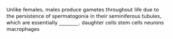 Unlike females, males produce gametes throughout life due to the persistence of spermatogonia in their seminiferous tubules, which are essentially ________. daughter cells stem cells neurons macrophages