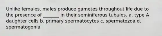 Unlike females, males produce gametes throughout life due to the presence of _______ in their seminiferous tubules. a. type A daughter cells b. primary spermatocytes c. spermatozoa d. spermatogonia