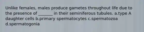 Unlike females, males produce gametes throughout life due to the presence of _______ in their seminiferous tubules. a.type A daughter cells b.primary spermatocytes c.spermatozoa d.spermatogonia