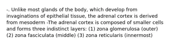 -. Unlike most glands of the body, which develop from invaginations of epithelial tissue, the adrenal cortex is derived from mesoderm -The adrenal cortex is composed of smaller cells and forms three indistinct layers: (1) zona glomerulosa (outer) (2) zona fasciculata (middle) (3) zona reticularis (innermost)