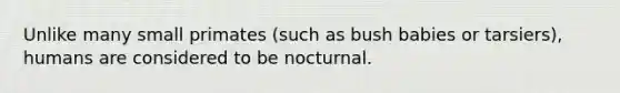 Unlike many small primates (such as bush babies or tarsiers), humans are considered to be nocturnal.