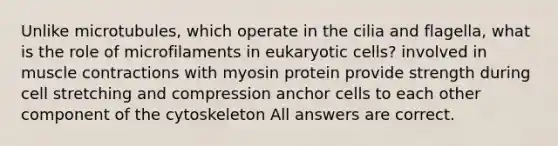 Unlike microtubules, which operate in the cilia and flagella, what is the role of microfilaments in eukaryotic cells? involved in muscle contractions with myosin protein provide strength during cell stretching and compression anchor cells to each other component of the cytoskeleton All answers are correct.