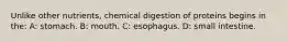 Unlike other nutrients, chemical digestion of proteins begins in the: A: stomach. B: mouth. C: esophagus. D: small intestine.