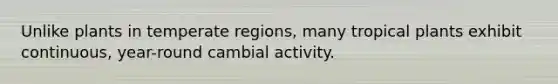 Unlike plants in temperate regions, many tropical plants exhibit continuous, year-round cambial activity.