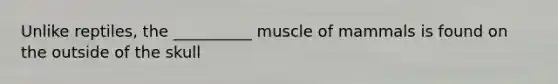 Unlike reptiles, the __________ muscle of mammals is found on the outside of the skull