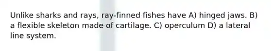 Unlike sharks and rays, ray-finned fishes have A) hinged jaws. B) a flexible skeleton made of cartilage. C) operculum D) a lateral line system.