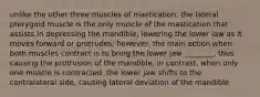 unlike the other three muscles of mastication, the lateral pterygoid muscle is the only muscle of the mastication that assists In depressing the mandible, lowering the lower jaw as it moves forward or protrudes; however, the main action when both muscles contract is to bring the lower jaw ________, thus causing the protrusion of the mandible, in contrast, when only one muscle is contracted, the lower jaw shifts to the contralateral side, causing lateral deviation of the mandible