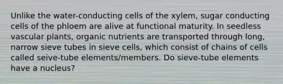 Unlike the water-conducting cells of the xylem, sugar conducting cells of the phloem are alive at functional maturity. In seedless <a href='https://www.questionai.com/knowledge/kbaUXKuBoK-vascular-plants' class='anchor-knowledge'>vascular plants</a>, organic nutrients are transported through long, narrow sieve tubes in sieve cells, which consist of chains of cells called seive-tube elements/members. Do sieve-tube elements have a nucleus?