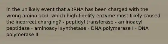 In the unlikely event that a tRNA has been charged with the wrong amino acid, which high-fidelity enzyme most likely caused the incorrect charging? - peptidyl transferase - aminoacyl peptidase - aminoacyl synthetase - DNA polymerase I - DNA polymerase II