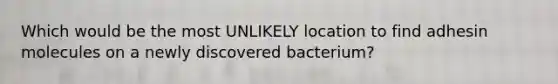 Which would be the most UNLIKELY location to find adhesin molecules on a newly discovered bacterium?