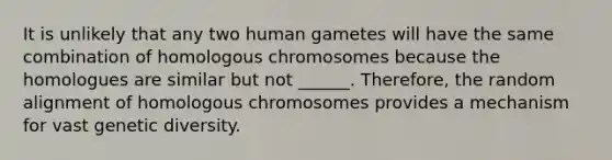 It is unlikely that any two human gametes will have the same combination of homologous chromosomes because the homologues are similar but not ______. Therefore, the random alignment of homologous chromosomes provides a mechanism for vast genetic diversity.