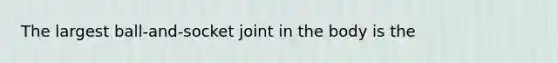 The largest ball-and-socket joint in the body is the