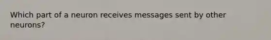 Which part of a neuron receives messages sent by other neurons?