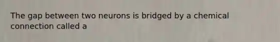 The gap between two neurons is bridged by a chemical connection called a