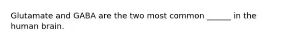 Glutamate and GABA are the two most common ______ in the human brain.