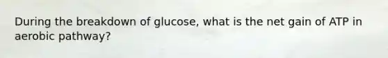 During the breakdown of glucose, what is the net gain of ATP in aerobic pathway?