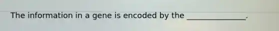 The information in a gene is encoded by the _______________.