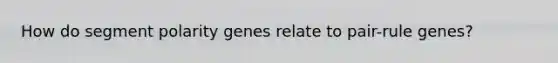 How do segment polarity genes relate to pair-rule genes?