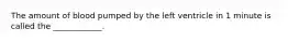 The amount of blood pumped by the left ventricle in 1 minute is called the ____________.