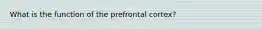 What is the function of the prefrontal cortex?