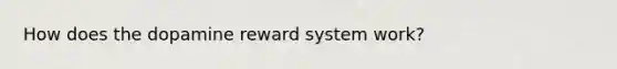 How does the dopamine reward system work?